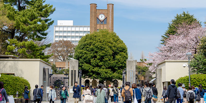 学校関連の先様ににぴったりなカレンダー